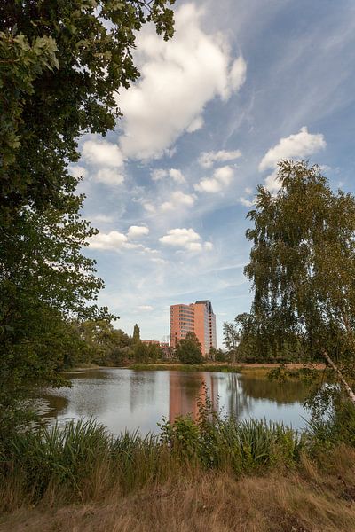 Office building from the Heinis ('s-Hertogenbosch) by Rob van Eerd