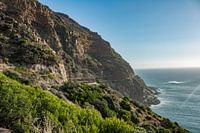 Chapmans peak drive