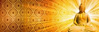buddha im licht