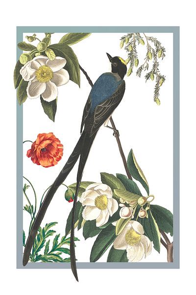 Fliegenfänger Vogel im Rahmen von Jadzia Klimkiewicz