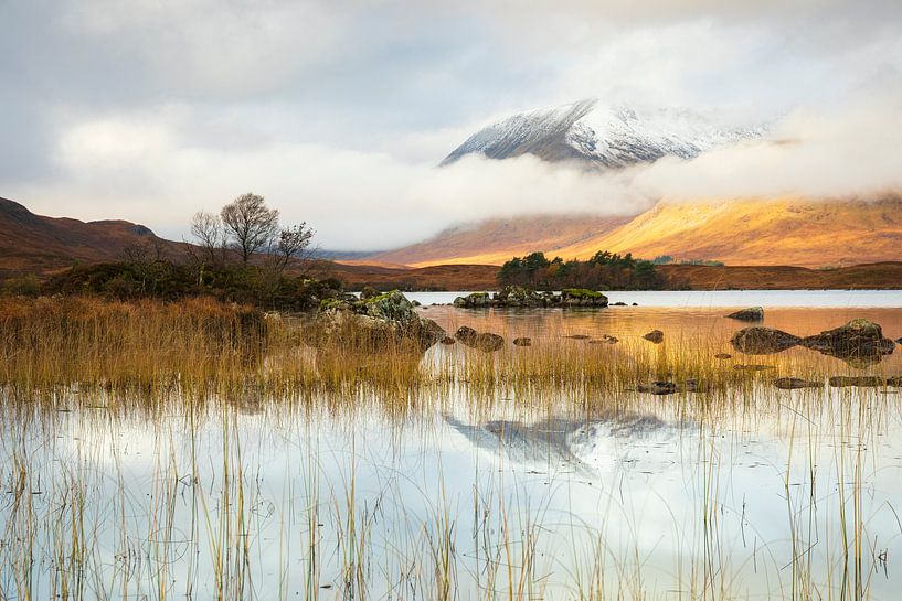Stille im Rannoch Moor von Daniela Beyer
