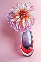 Dahlia rose dans un vase.