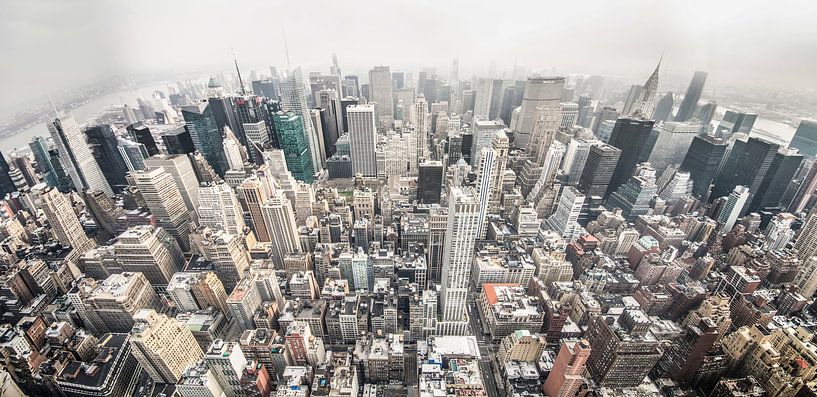 New Yorker Geistesverfassung von Lex Scholten