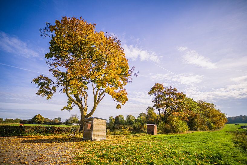 Warmer Nachmittag am Straßenrand von Martin Frunt