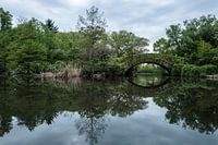 Central Park | New York City