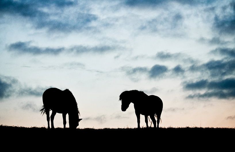 Morgens von Anne Koop