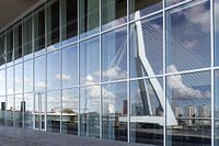 Reflection of Erasmus Bridge