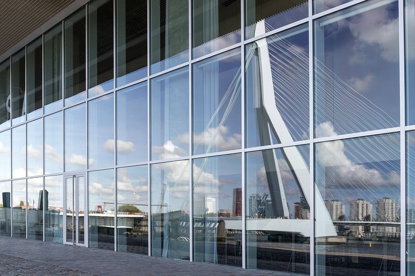 Reflection of Erasmus Bridge by Susan Chapel