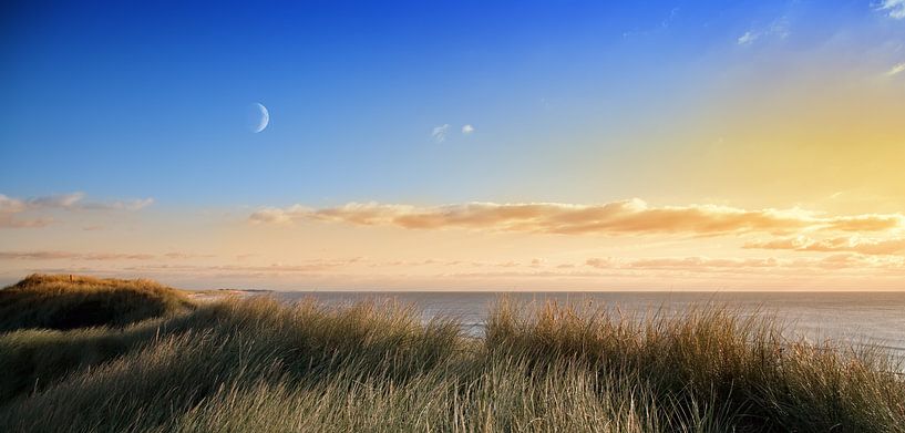 Coast by Bo Valentino