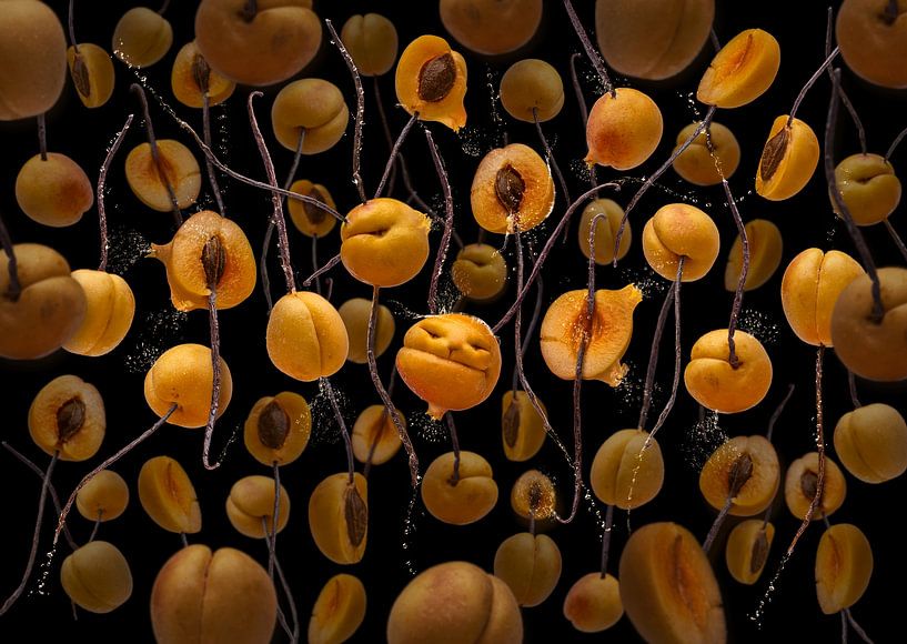 Marilla Vanilla by Olaf Bruhn