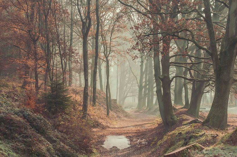Herbst-Posbank von Nancy van Verseveld