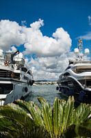 is de jouwe nou groter als de mijne?