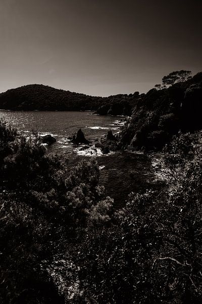 Küstenpracht mit Bergen und Bäumen in Sepia von Youri Mahieu