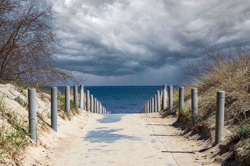 Beach walk on the Baltic Sea with storm clouds on the horizon by Animaflora PicsStock