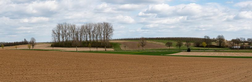 Extra Large panoramic view of  agriculture fields van Werner Lerooy