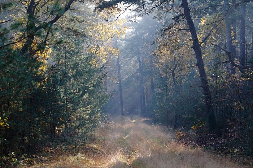 Herfstkleuren von Eric-Jan Oud