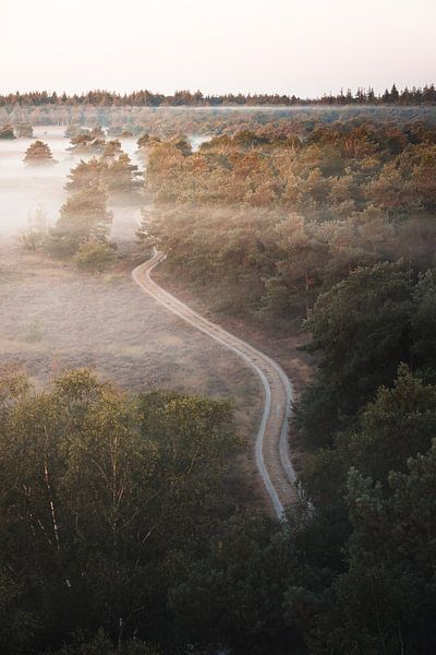 Suivre le chemin par Thijs Pausma