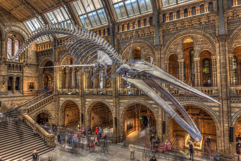 Natural History Museum Londen by Rene Ladenius Digital Art