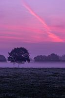Purple sunrise on the Veluwe