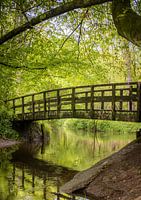 Brücke in der Bekendelle