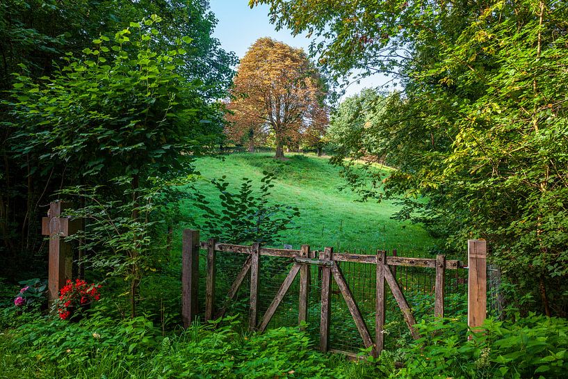 View through to Geleenbeekdal Hellegats by Evert Jan Luchies