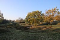 Finally peace and quiet