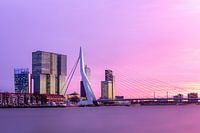 Sonnenuntergang Erasmusbrücke von den Boompjes in Rotterdam