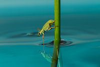 Perfect Temperature for a skinny dip!