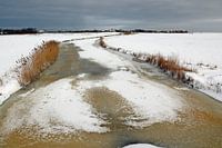 Bauernhaus auf Terschelling im Winter