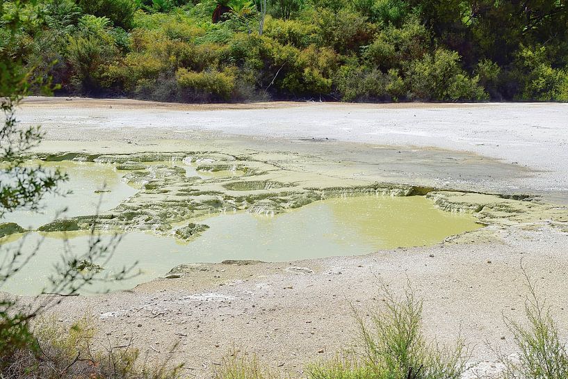 Der Opal-Pool von Frank's Awesome Travels