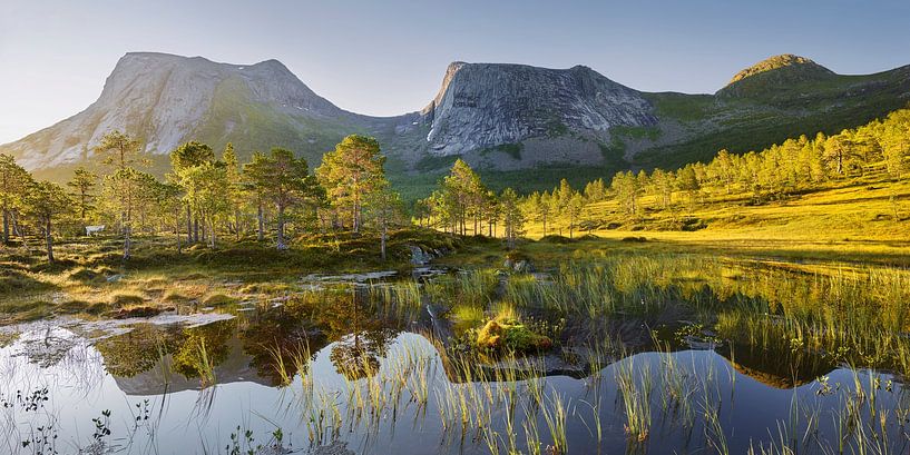 The white reindeer by Rainer Mirau