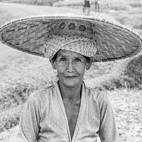 Reispflücker in Indonesien