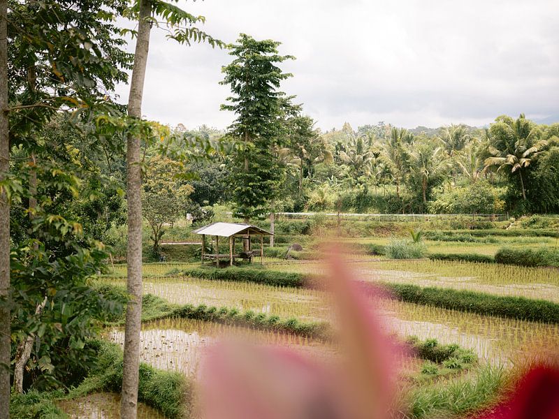 Indonesia by Raisa Zwart Travel Photography Prints