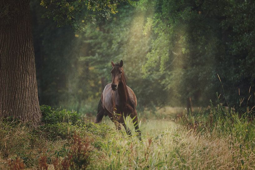 Das sind Sie von Ellen Pitlo