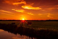 Groningse landerijen 