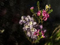 Macro shot of a bouquet of flowers with water droplets