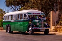 Alter Bus (Sonnenuntergang)