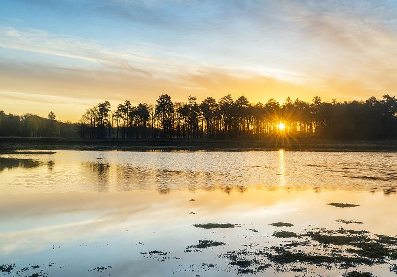 Dwingelderveld Sonnenaufgang (Niederlande) von Marcel Kerdijk