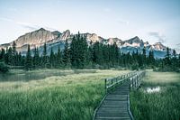 Canmore Berge bei Sonnenaufgang