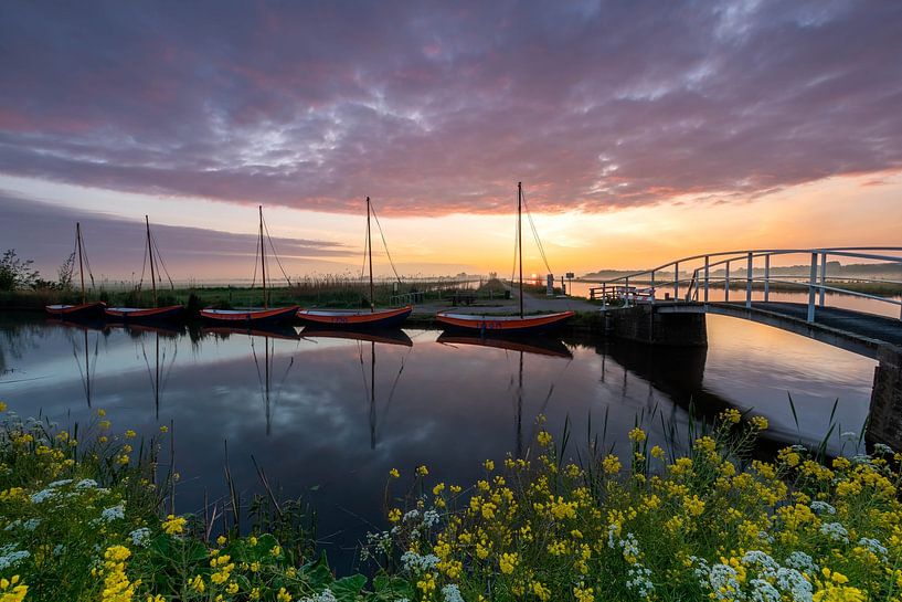 Fünf in einer Reihe von Jan Koppelaar Fotografie