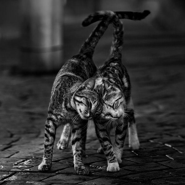 Ohne Titel von nebula 