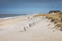 Strandkörbe am Weststrand in Kampen, Sylt