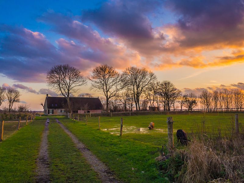 Hildernisse von Henk Goossens