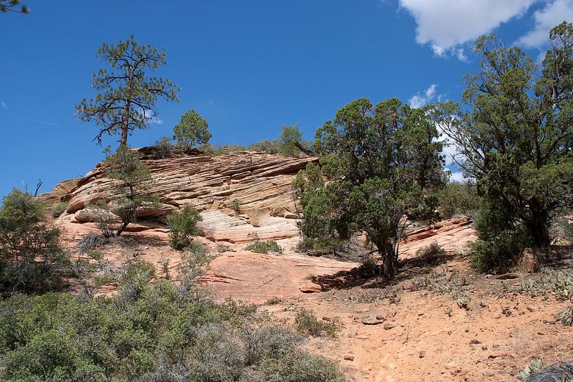 Zion National Park by Jan de Jong
