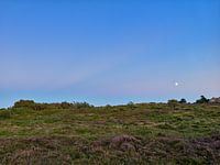 Sylt, Braderuper Heide am Abend