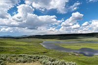 Eine friedliche Naturlandschaft aus den USA