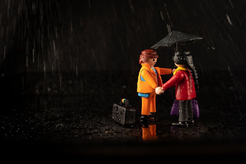 playmobil amoureux von celine bg