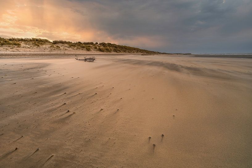 6 Beaufort van Peter Deschepper