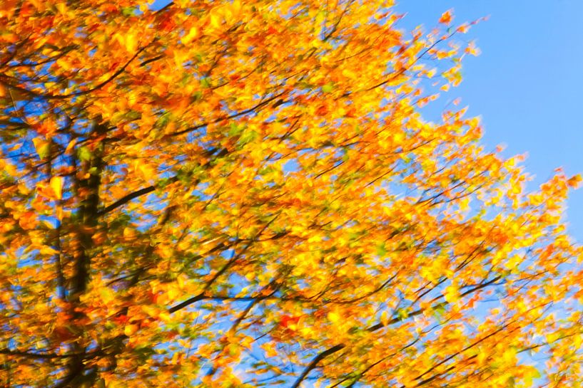 Golden October by Thomas Jäger