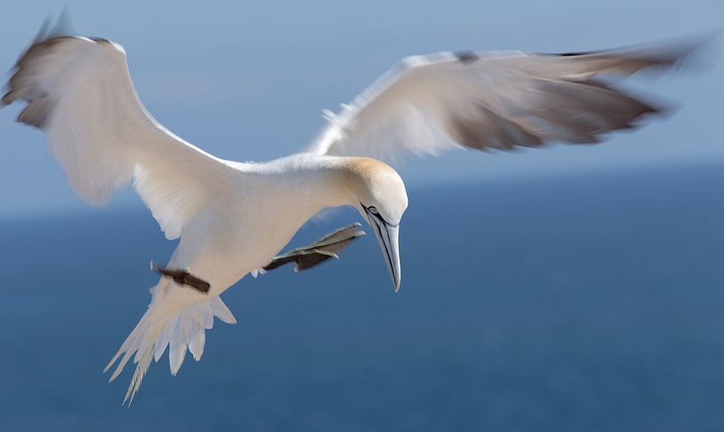 Vorbereitung zur Landung von Claudia van Zanten